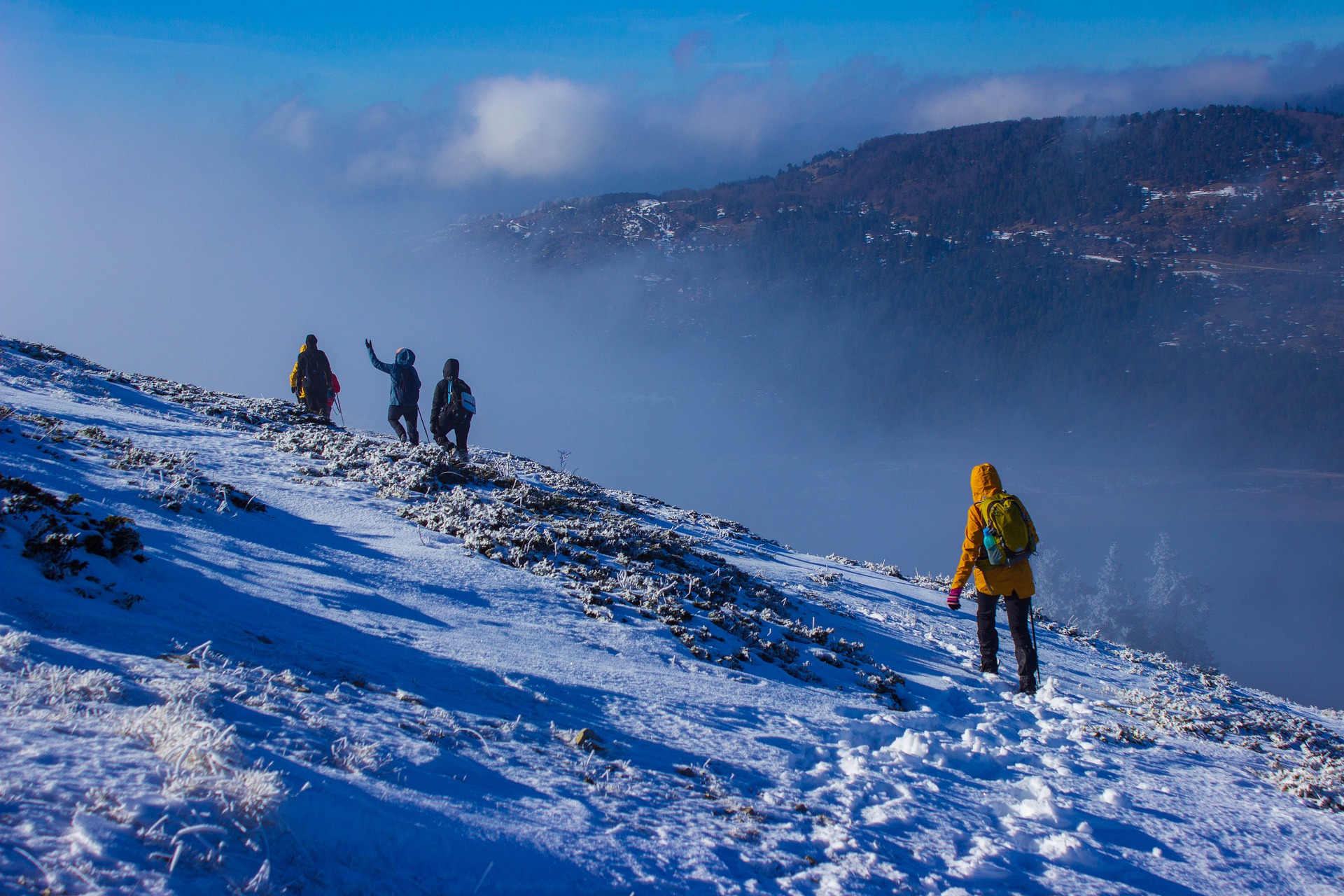 Ghorepani Poon Hill Trek