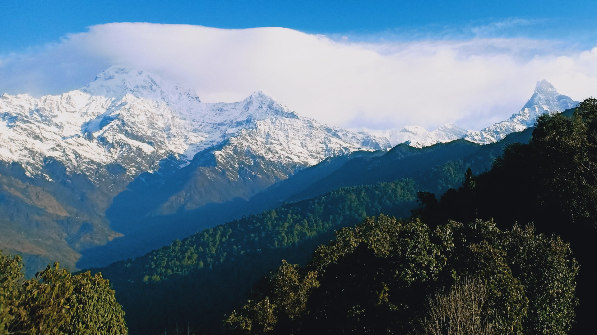 Mardi Himal Trek