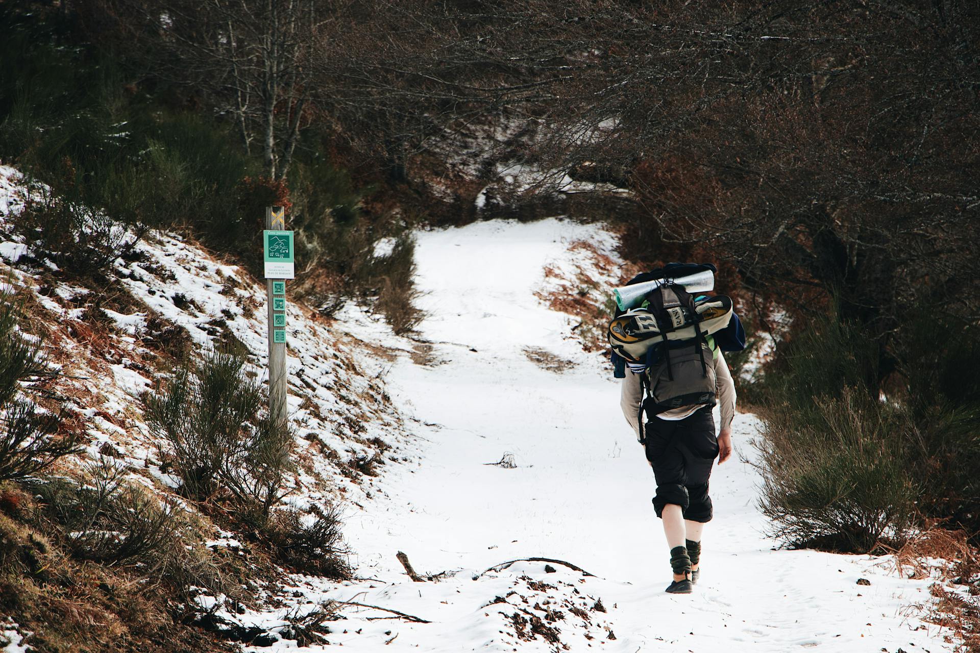 Sherpani Col Pass Trek