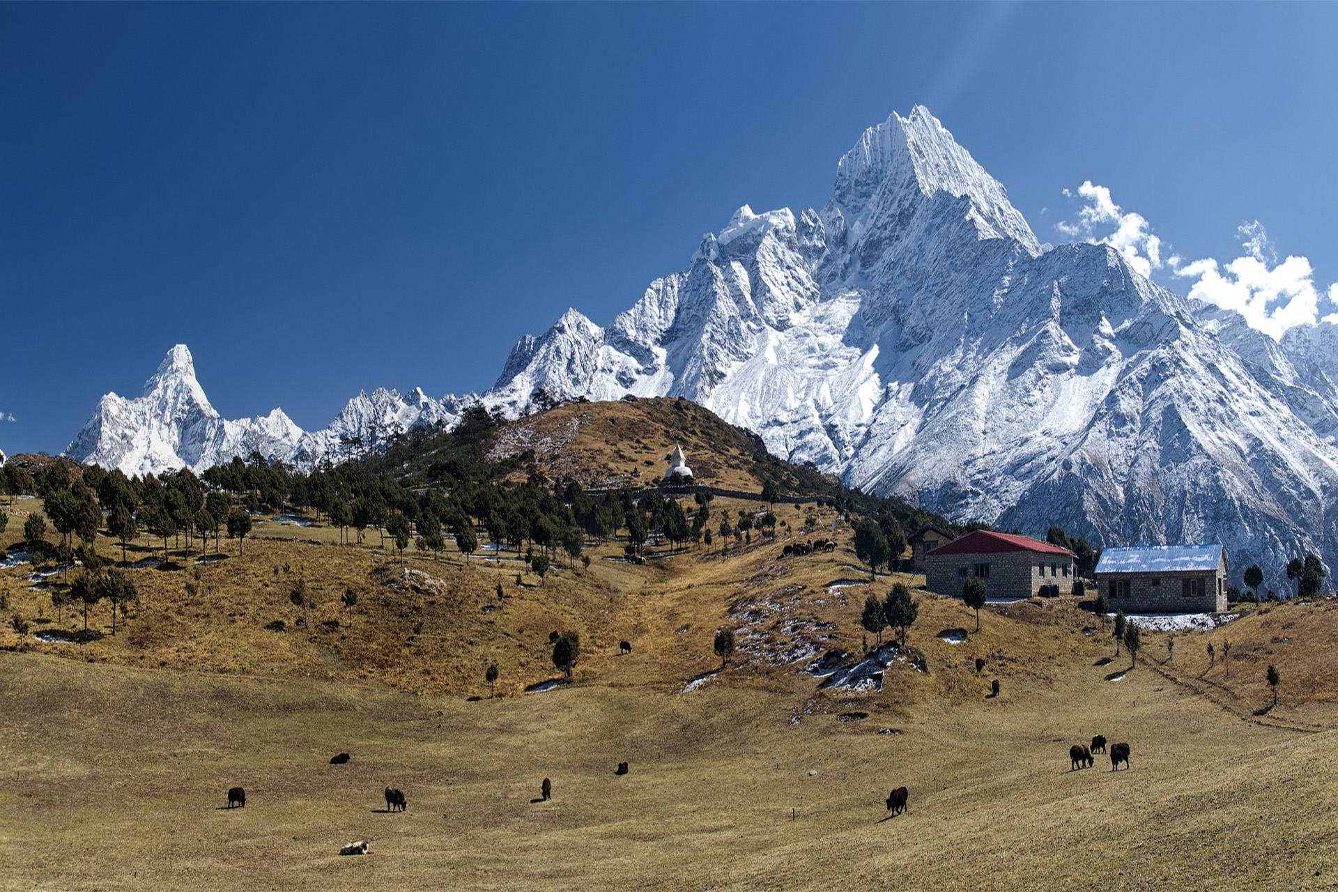 Upper Dolpa Trek
