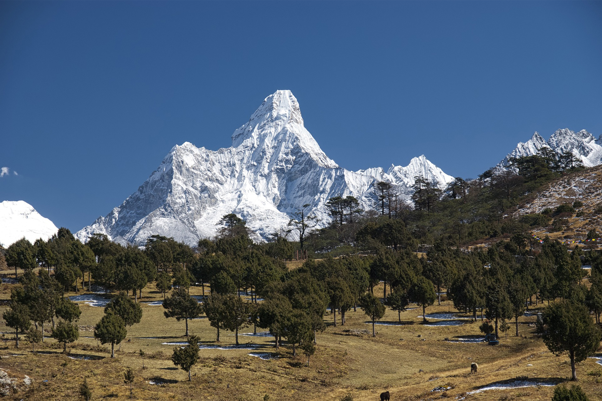 Bhujung Lamjung Gaun