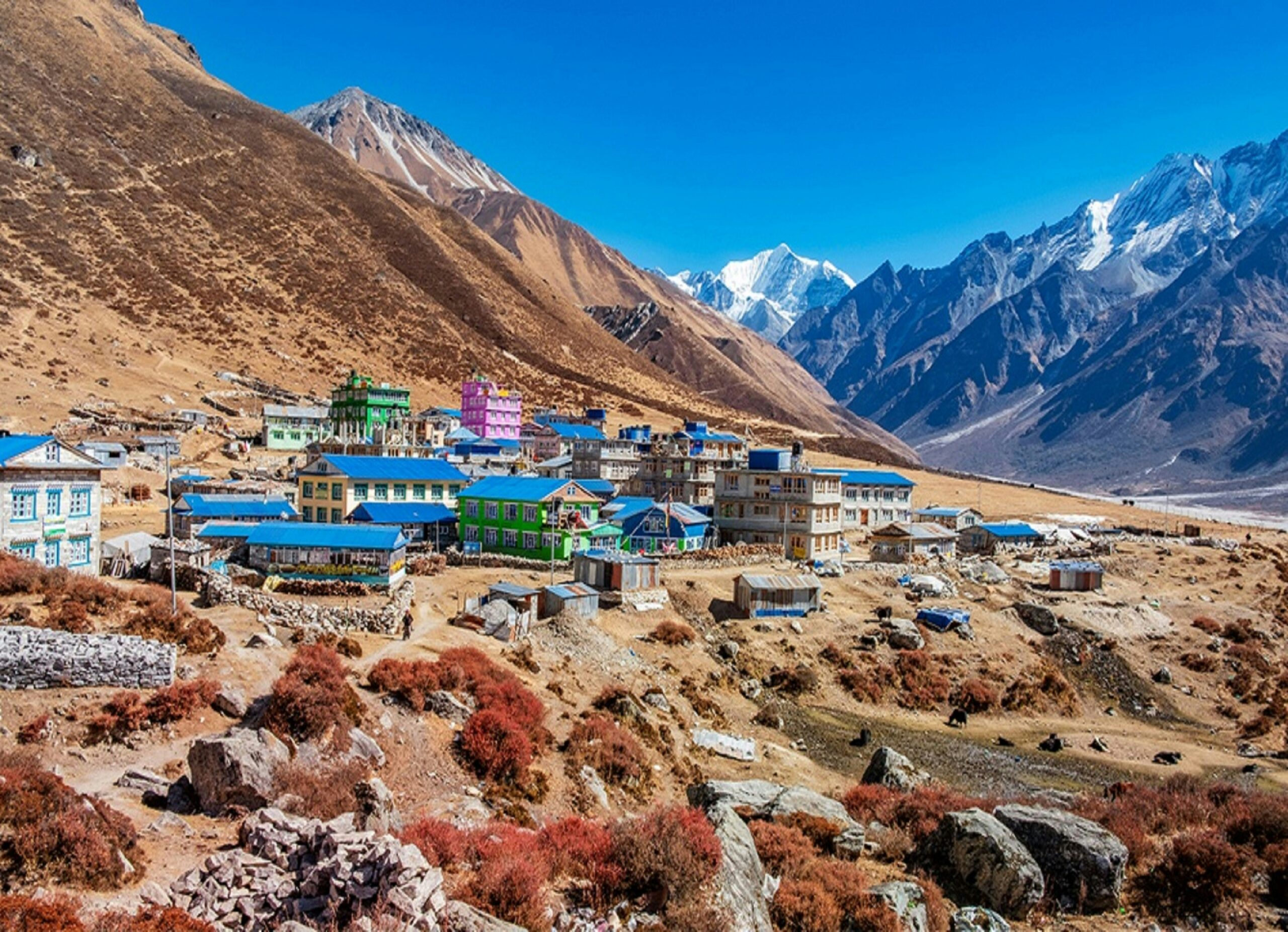 Lantang Valley Trek
